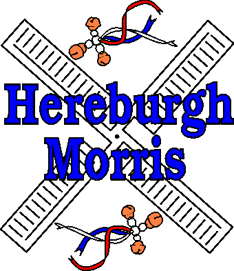 Hereburgh's windmill logo